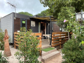 Mobil home Cottage Premium